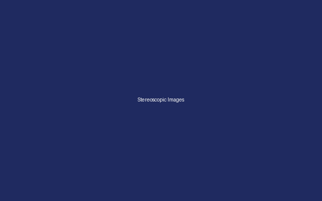 Stereoscopic Images